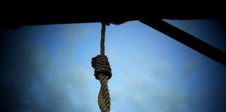 මං වල් නෑ