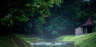 මයිලපත් සමනල්ලූ