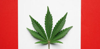 කැනඩාවෙ නිදහස් මරිජුවානා සුවඳ