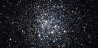 මගේ උපන්දින පණිවුඩය