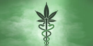 කංසා මට සමාවෙන්න.