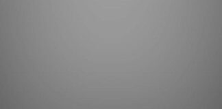 Poems by Nadeesha Paulis