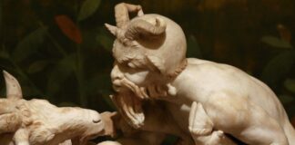 බල්ලො සහ බූරුවො