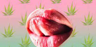කංසා එක්ක සෙක්ස් – Cannasexual
