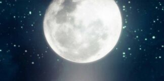 තව පෝයක් ඕන