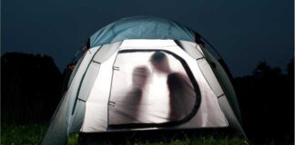 ගෝටා ඇවිත් ඇඳ උඩටම