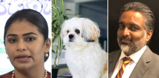 සුනඛ අනුරාගය