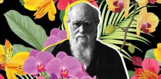 ඩාර්වින් නොදත් විද්යාව – දෙවෙනි කොටස (Sex At Dawn පරිවර්තනයක්)