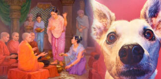 බල්ලෙක් හින්ද කෝසල මල්ලිකා සතියක් අපායෙ