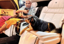 ඩඩ්ලිගේ ශෘංගාරය