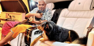 ඩඩ්ලිගේ ශෘංගාරය