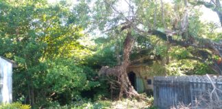 පත්මා ගැන මතකය